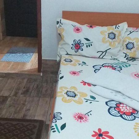 Garsoniera Apartment Buzau Bagian luar foto